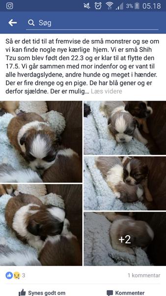 profilbillede