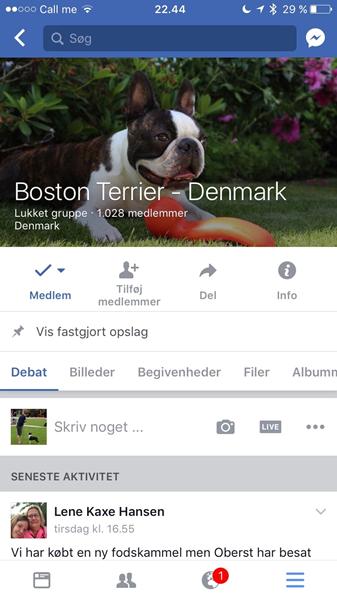 profilbillede