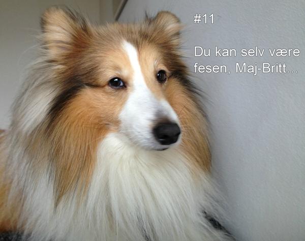 profilbillede