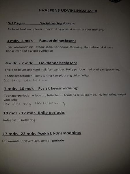 profilbillede