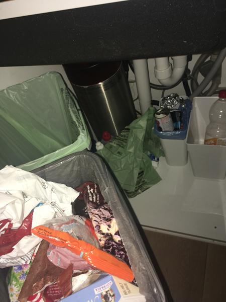 profilbillede