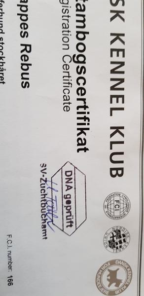 profilbillede
