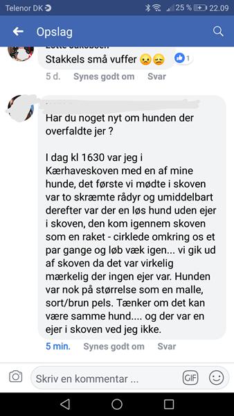 profilbillede
