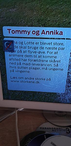 profilbillede