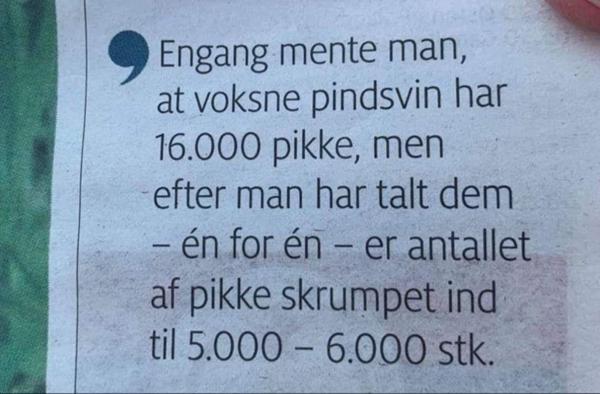 profilbillede