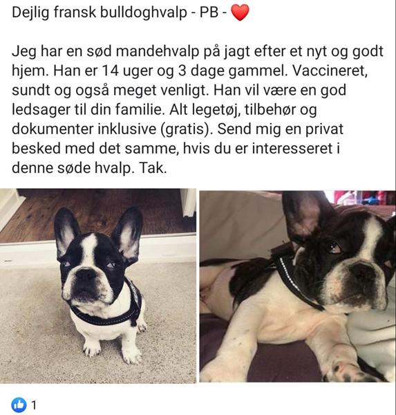 profilbillede