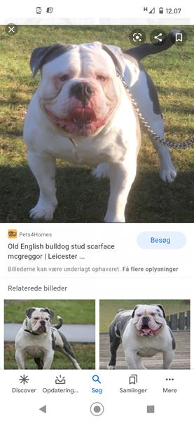 profilbillede