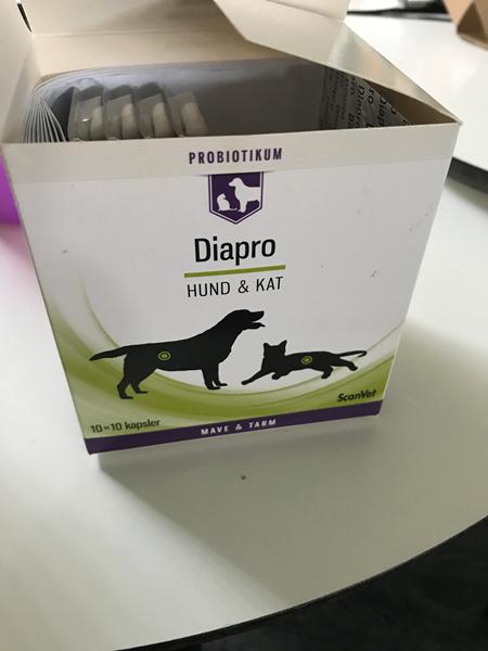 profilbillede