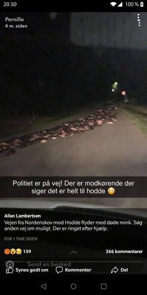 profilbillede