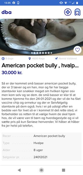 profilbillede