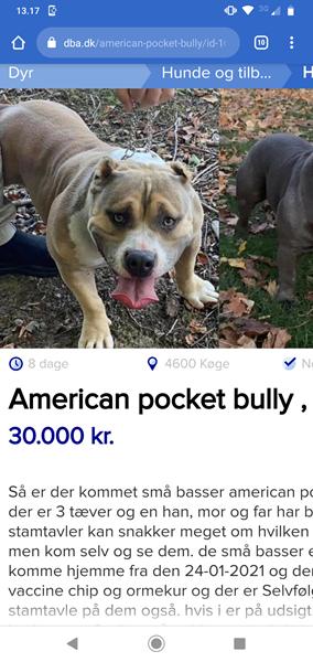 profilbillede