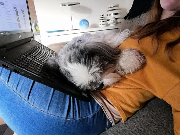profilbillede