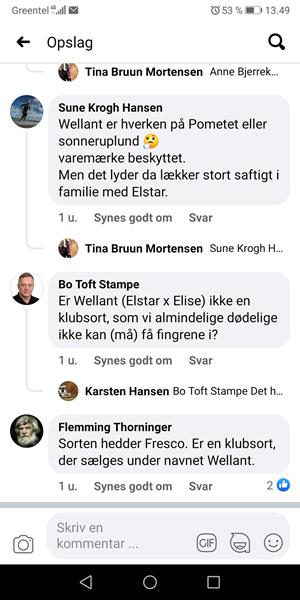 profilbillede