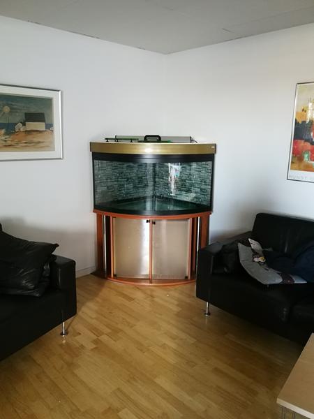 profilbillede