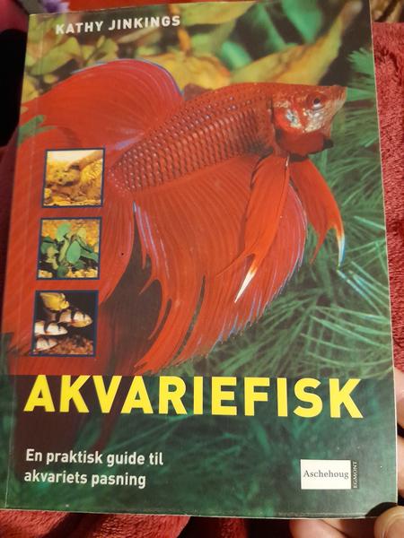 profilbillede
