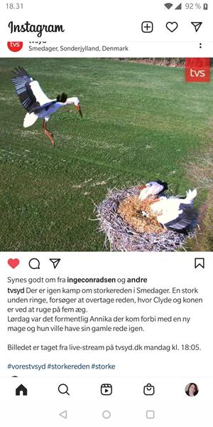 profilbillede