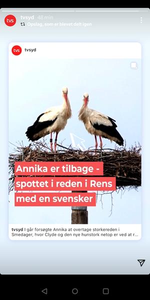 profilbillede