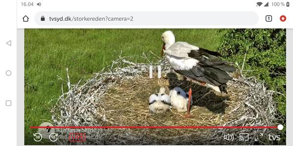 profilbillede