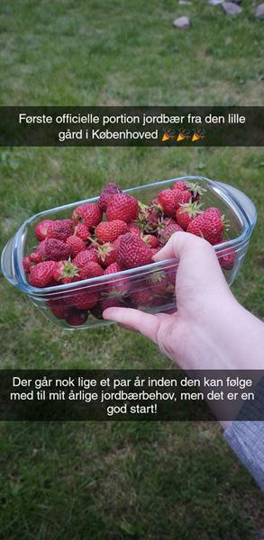 profilbillede
