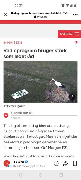 profilbillede