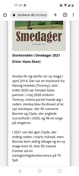 profilbillede
