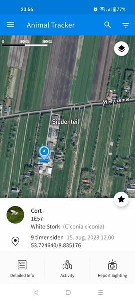 profilbillede