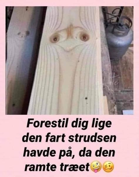 profilbillede