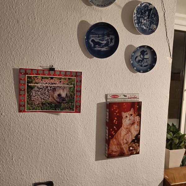 profilbillede