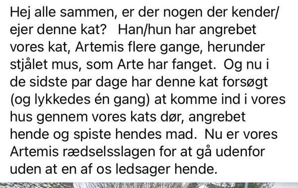 profilbillede