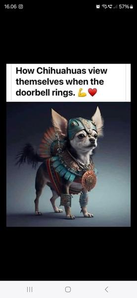 profilbillede