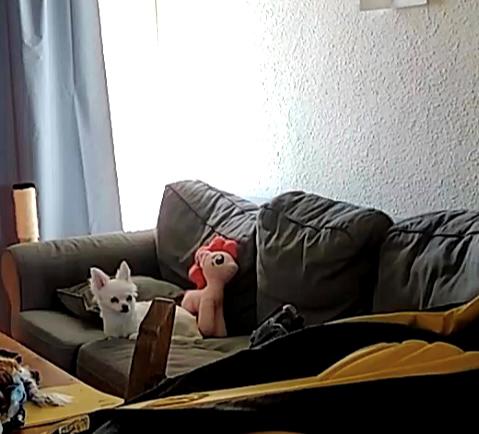 profilbillede