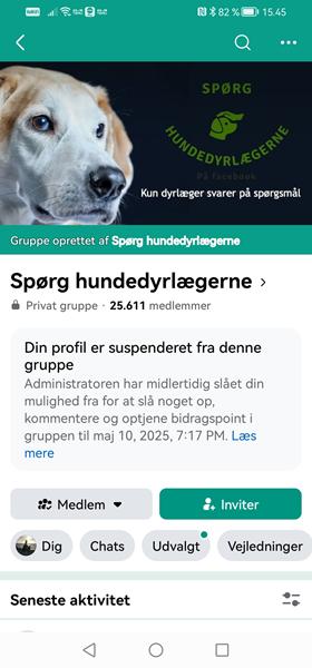 profilbillede