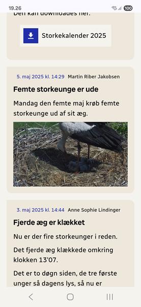 profilbillede
