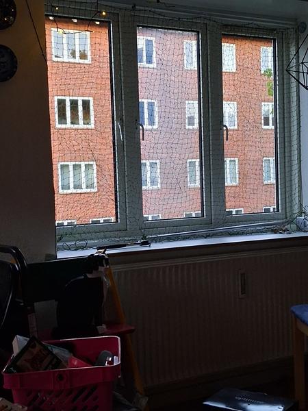 profilbillede