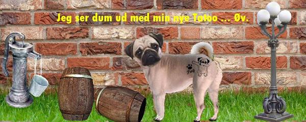 profilbillede