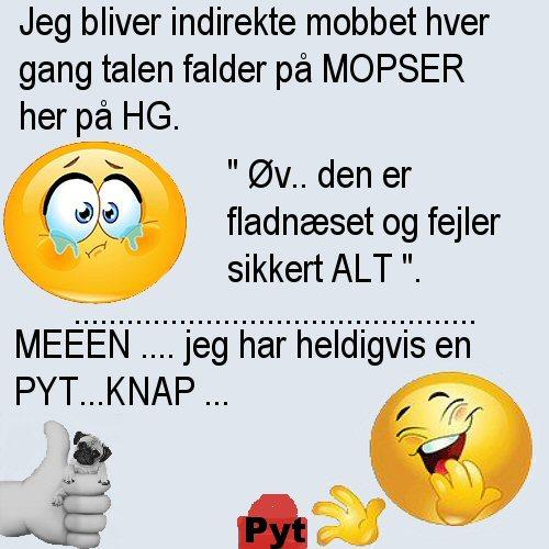 profilbillede