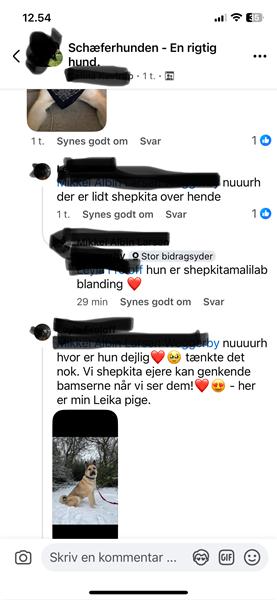 profilbillede