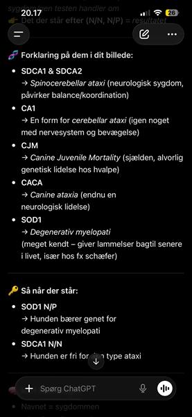profilbillede