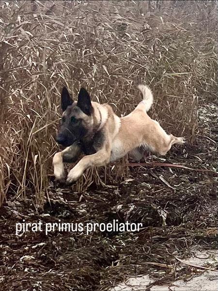 profilbillede