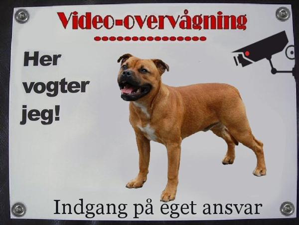 profilbillede