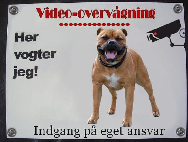 profilbillede