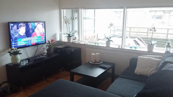 Indretning .. billeder. skrevet af bare en pige, med 2 hunde. Billeder indretning