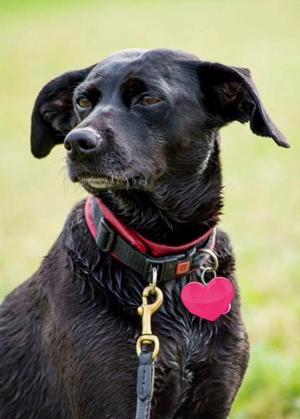profilbillede