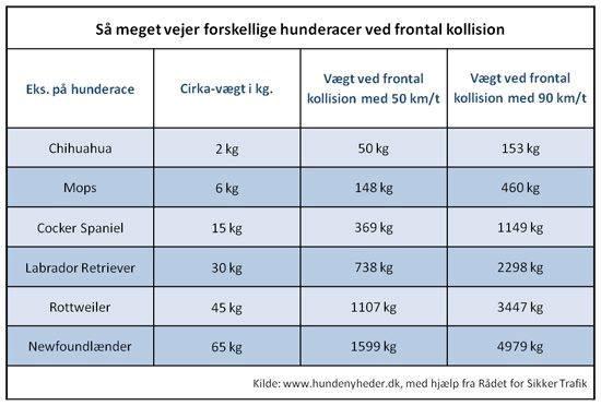 profilbillede