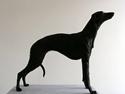 Whippet Dragonwing Cyclone (Thea)