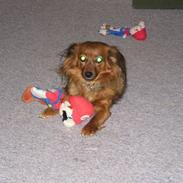 Blanding af racer Cheri