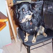 Blanding af racer Kawa