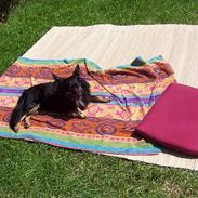 Blanding af racer Kawa