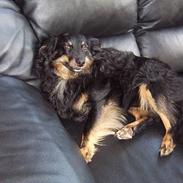 Blanding af racer Kawa