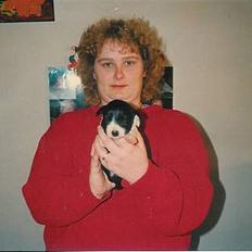 Blanding af racer Sissi